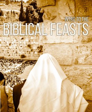 DVD: Intro to Biblical Feasts
