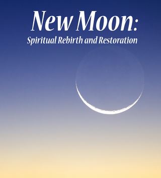 DVD: New Moon