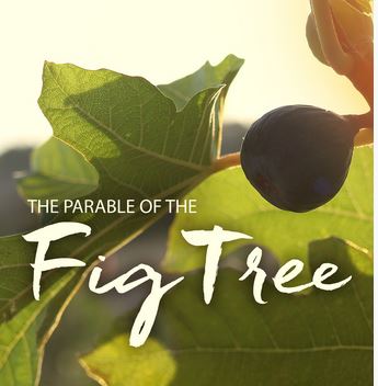 DVD: The Parable of the Fig Tree